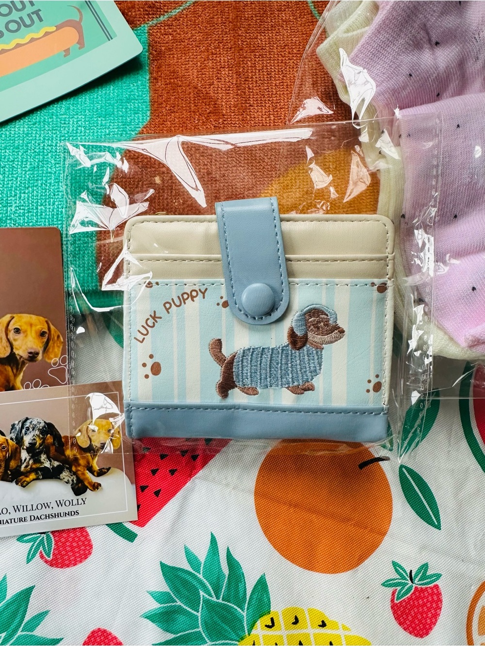 New Dachshund Bundle - Picture 3 of 6